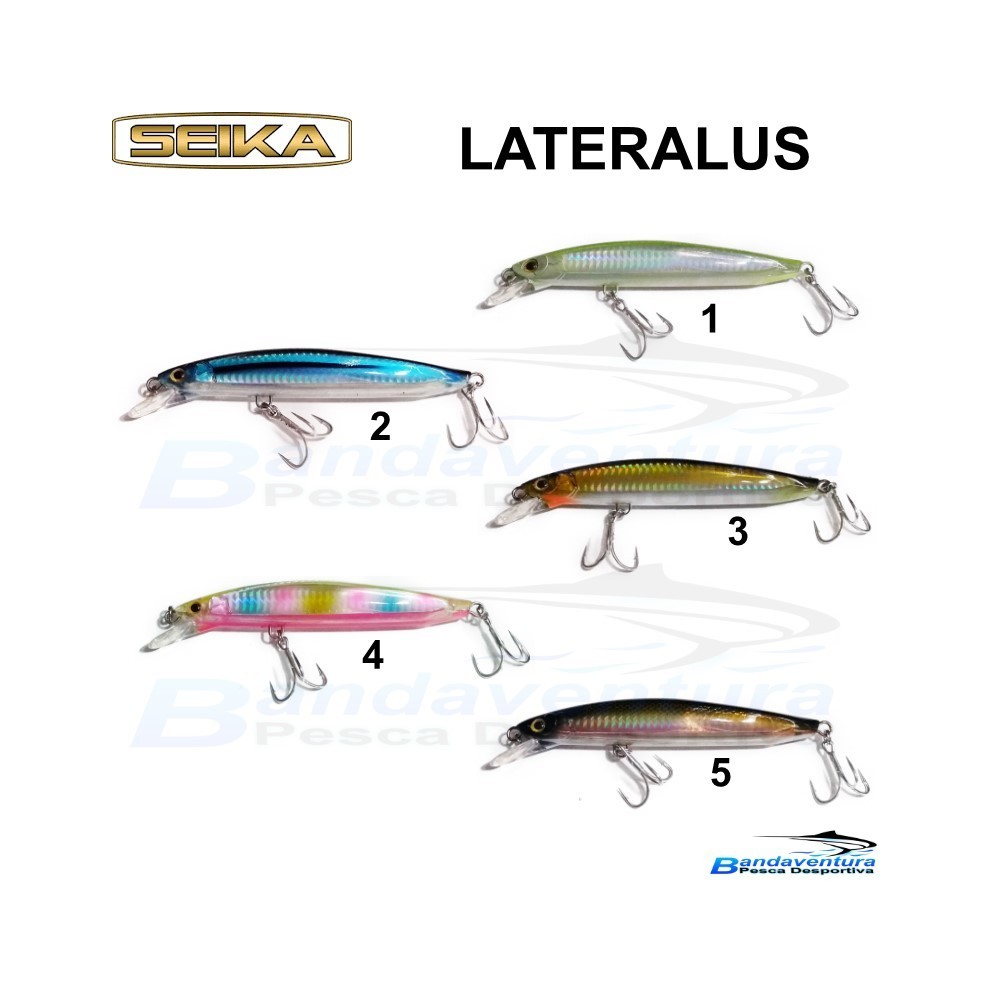 SEIKA LATERALUS