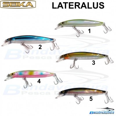 SEIKA LATERALUS