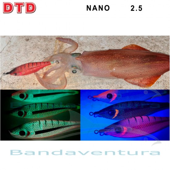 DTD NANO 2.5