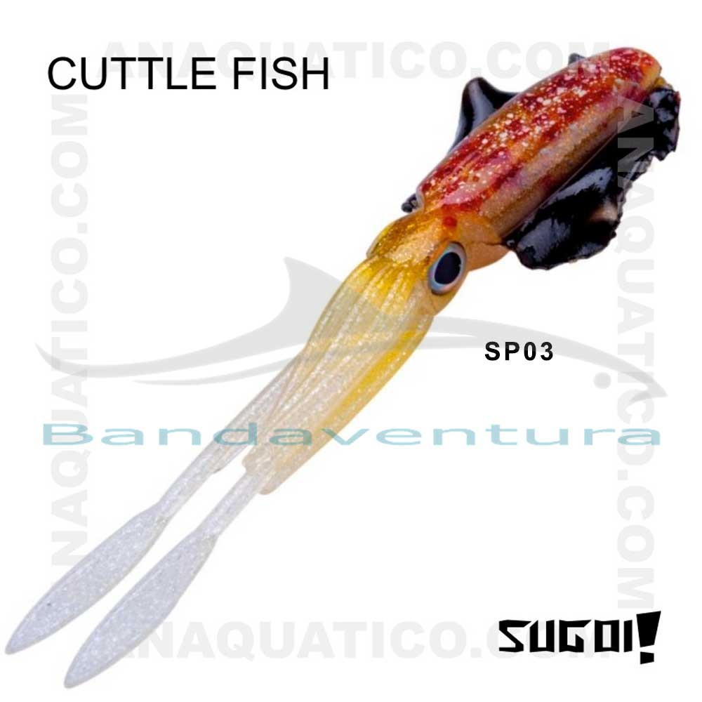 SUGOI CUTTLE FISH