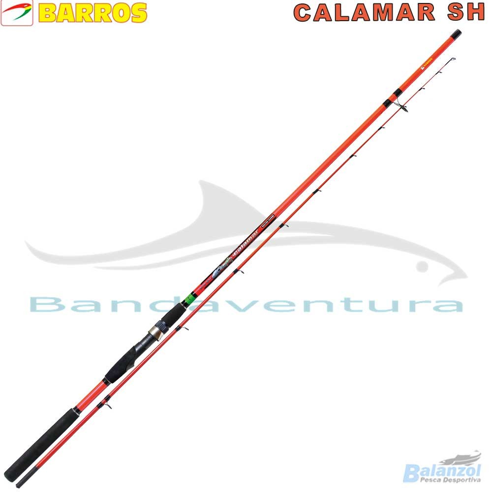 BARROS CALAMAR SH