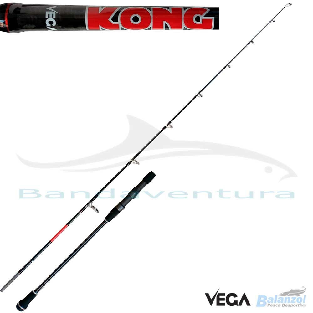 VEGA KONG VEGA KONG