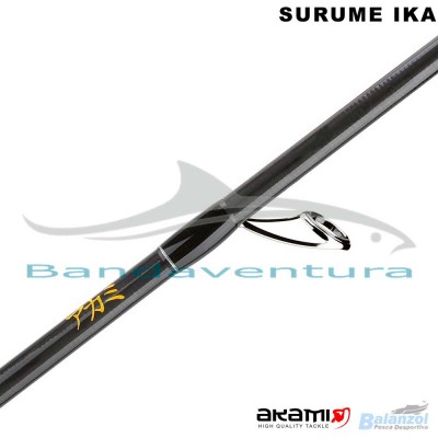 AKAMI SURUME IKA