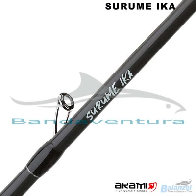 AKAMI SURUME IKA