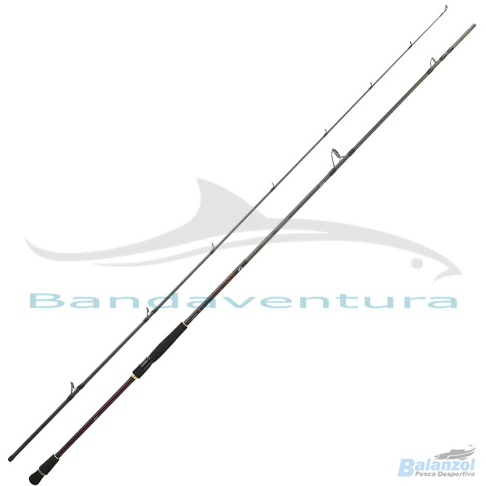 DAIWA INFEET SEABASS 3.05MT 14-56GR