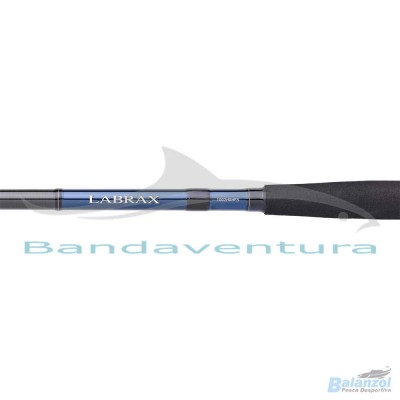 DAIWA LABRAX SEABASS 1002HX HFS AF