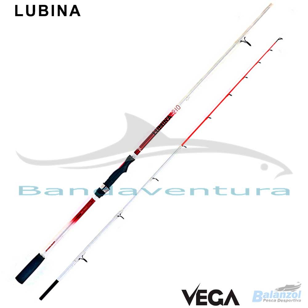 VEGA EGI LUMINA 5286 VEGA EGI LUMINA 5286