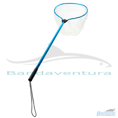 SUNSET CAMAR SE SUNCATCH SQUID