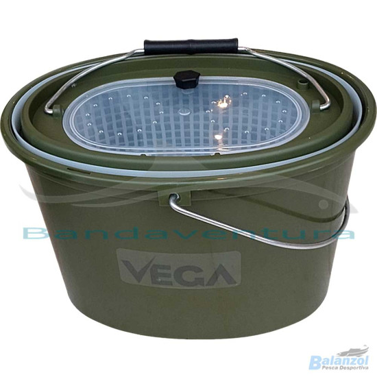 VEGA BALDE VIVEIRO