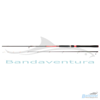 DAIWA CANA POWERMESH TENYA 2.40MT