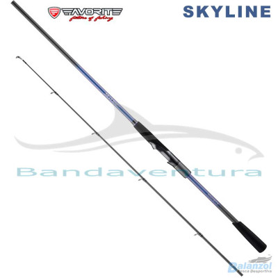 FAVORITE SKYLINE SKY1 1002H 3.00MT 20-56G