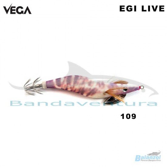 VEGA EGI LIVE