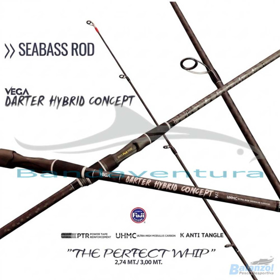 VEGA CANA DARTER HYBRID CONCEPT 3.00M