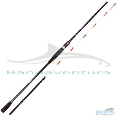 BAKUTAKI 8'2" 2.50M 20-200G